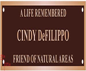 bench plaque Custom Bronze Plaques